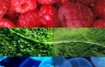 CMYK vs RGB: что нужно знать 